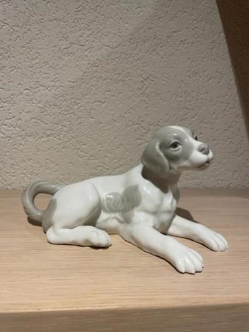 Beeldje Hond - Dog van NAO (Lladro) nieuw  beschikbaar voor biedingen