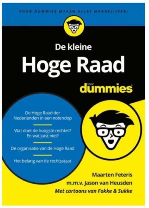 De kleine Hoge Raad voor Dummies, Boeken, Advies, Hulp en Training, Zo goed als nieuw, Ophalen of Verzenden