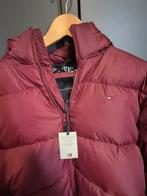 Tommy Hilfiger Jas, Tommy Hilfiger, Nieuw, Overige maten, Ophalen of Verzenden