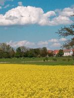 Vakantiewerk op boerderij in Duitsland, Overige vormen, Overige niveaus