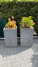 Twee grote plantenbakken met hortensia's, Ophalen of Verzenden, Zo goed als nieuw, Rond, Kunststof