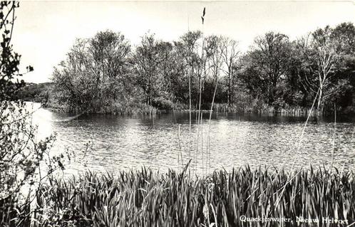Quackjeswater, Nieuw Helvoet - 1965 gelopen, Verzamelen, Ansichtkaarten | Nederland, Gelopen, Overijssel, 1960 tot 1980, Ophalen of Verzenden