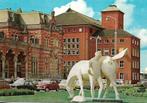 Groningen- -Station met Peerd van Ome Loeks., Verzenden, 1980 tot heden, Ongelopen, Groningen