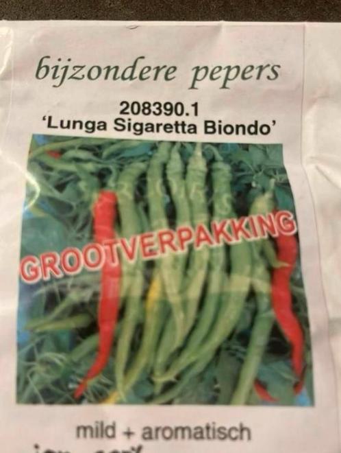Bijzondere peper zaden lunga sigaretta biondo, Tuin en Terras, Bloembollen en Zaden, Zaad, Voorjaar, Volle zon, Ophalen of Verzenden