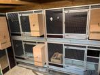 Kweekkooien, Dieren en Toebehoren, Ophalen, Zo goed als nieuw, Hout, Broedkooi of Kweekkooi