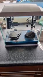 Te koop een kleine aquarium., Dieren en Toebehoren, Ophalen