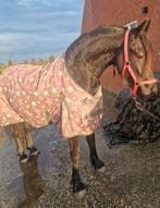 ️‍Aanhankelijke lieve 2 jarige Friese merrie te koop️‍, Dieren en Toebehoren, Merrie, Dressuurpaard, Ontwormd