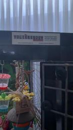 Stevige en mooie  Papegaaien kooi, Dieren en Toebehoren, Ophalen of Verzenden, Zo goed als nieuw, Vogelkooi, Metaal