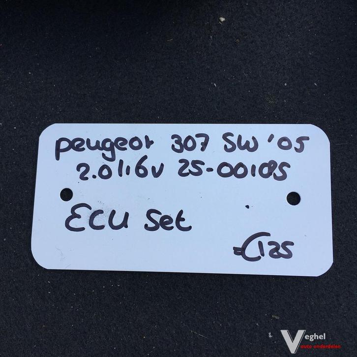 Peugeot 307 Sw 2.0 16v 2005 2500185  ECU Set, Auto-onderdelen, Elektronica en Kabels, Gebruikt, Ophalen of Verzenden
