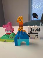 Duplo Creatieve Dieren 10573, Kinderen en Baby's, Speelgoed | Duplo en Lego, Ophalen, Zo goed als nieuw, Complete set, Duplo