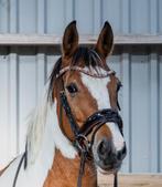 Unieke merrie!, Dieren en Toebehoren, Paarden, Merrie, Minder dan 160 cm, Dressuurpaard, L