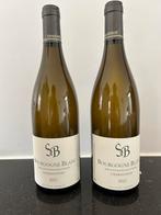 Bzikot Bourgogne Blanc 2021, Nieuw, Frankrijk, Witte wijn, Ophalen