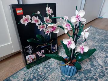 Lego orchidee beschikbaar voor biedingen