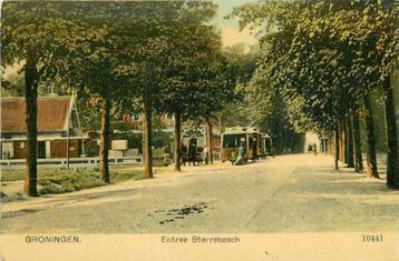 (300-109-029) Groningen Entree Sterrebosch beschikbaar voor biedingen