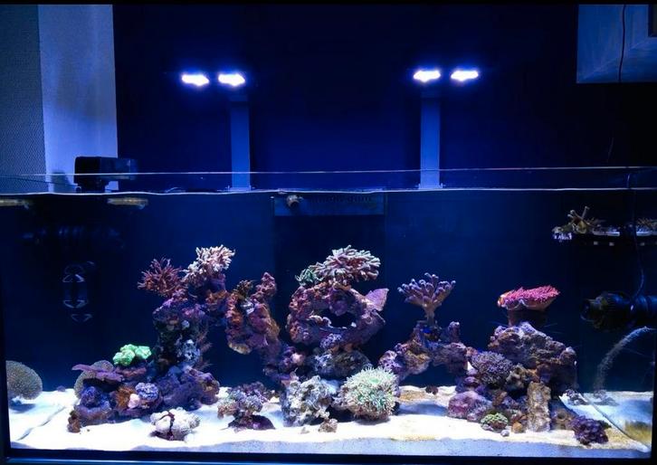 Te koop Red Sea Reefer 350 zeeaquarium, Dieren en Toebehoren, Vissen | Aquaria en Toebehoren, Zo goed als nieuw, Leeg aquarium