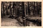 In de Veluwe bossen, Verzenden, 1940 tot 1960, Ongelopen, Gelderland
