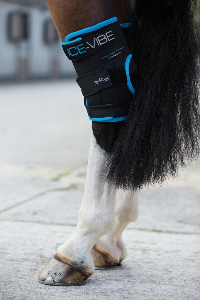 Horseware Ice-Vibe Hock Wrap, cooling en massage blessure, Dieren en Toebehoren, Paarden en Pony's | Verzorgingsproducten, Nieuw