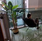 Grote bananenboom kunstplant, Ophalen of Verzenden