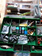 Complete vis uitrusting te koop, Watersport en Boten, Ophalen, Gebruikt