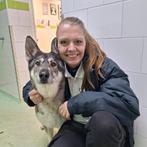 Spoed (tijdelijke ) huur woonruimte brabant,., Ophalen of Verzenden