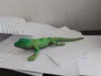 Hagedis, dierfiguur, 22 cm, geen Schleich zacht materiaal, Verzamelen, Dierenverzamelingen, Ophalen of Verzenden, Gebruikt, Reptiel of Amfibie