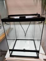 Exo Terra terrarium, Dieren en Toebehoren, Reptielen en Amfibieën | Toebehoren, Ophalen, Gebruikt, Terrarium of Paludarium
