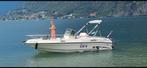 6 cilinder rancraft zeldzaam, Watersport en Boten, Ophalen, Polyester, Benzine, 6 tot 9 meter