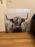 Countryfield schilderij/foto op glas 80x80, Huis en Inrichting, Woonaccessoires | Schilderijen, Tekeningen en Foto's, Ophalen