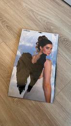 Zwarte Engel vleugels carnaval, Ophalen, Zo goed als nieuw, Carnaval, Accessoires