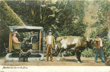 (701-262-023) Madeira Carro de Bois beschikbaar voor biedingen