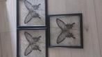 Ikea  wanddecoratie, Huis en Inrichting, Woonaccessoires | Schilderijen, Tekeningen en Foto's, Minder dan 50 cm, Ophalen of Verzenden