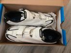 Nieuw: Shimano wielerschoen SH-RO88 maat 42, Ophalen, Nieuw, Kleding