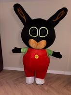 Mascottes Bing en Mario te huur!, Ophalen of Verzenden, Gebruikt, 170 of groter, Jongen of Meisje