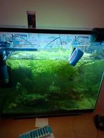 Superfish home 80 aquarium, Ophalen, Zo goed als nieuw, Leeg aquarium