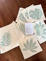 Muurstickers - jungle, Kinderen en Baby's, Ophalen of Verzenden, Nieuw, Wanddecoratie