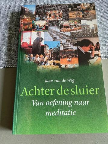 Jaap van de Weg - Achter de sluier beschikbaar voor biedingen