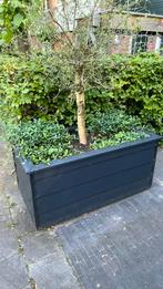 Bloembak plantenbak verrijdbaar, Tuin en Terras, Bloembakken en Plantenbakken, Ophalen, Zo goed als nieuw, 60 cm of meer, Rechthoekig