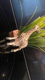 Schleich Wildlife: Baby giraffe, Ophalen of Verzenden, Zo goed als nieuw, Paard, Beeldje of Figuurtje