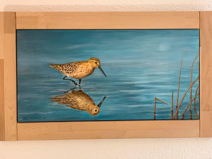 Olieverf schilderij R. Bloemhof - Vogel in water, Antiek en Kunst, Kunst | Schilderijen | Klassiek, Ophalen of Verzenden