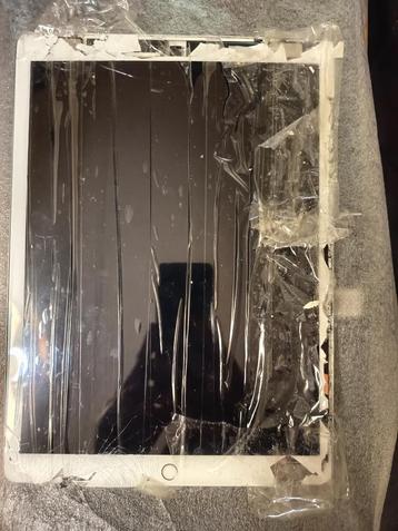 Ipad Pro 12.9 (1e gen.) defect scherm beschikbaar voor biedingen