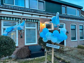 T.h.a. ooievaar op nest. beschikbaar voor biedingen