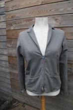 Jasje grijs 10days mt 2 (L) Vaste prijs AANBIEDING, Maat 42/44 (L), 10days, Ophalen of Verzenden, Zo goed als nieuw