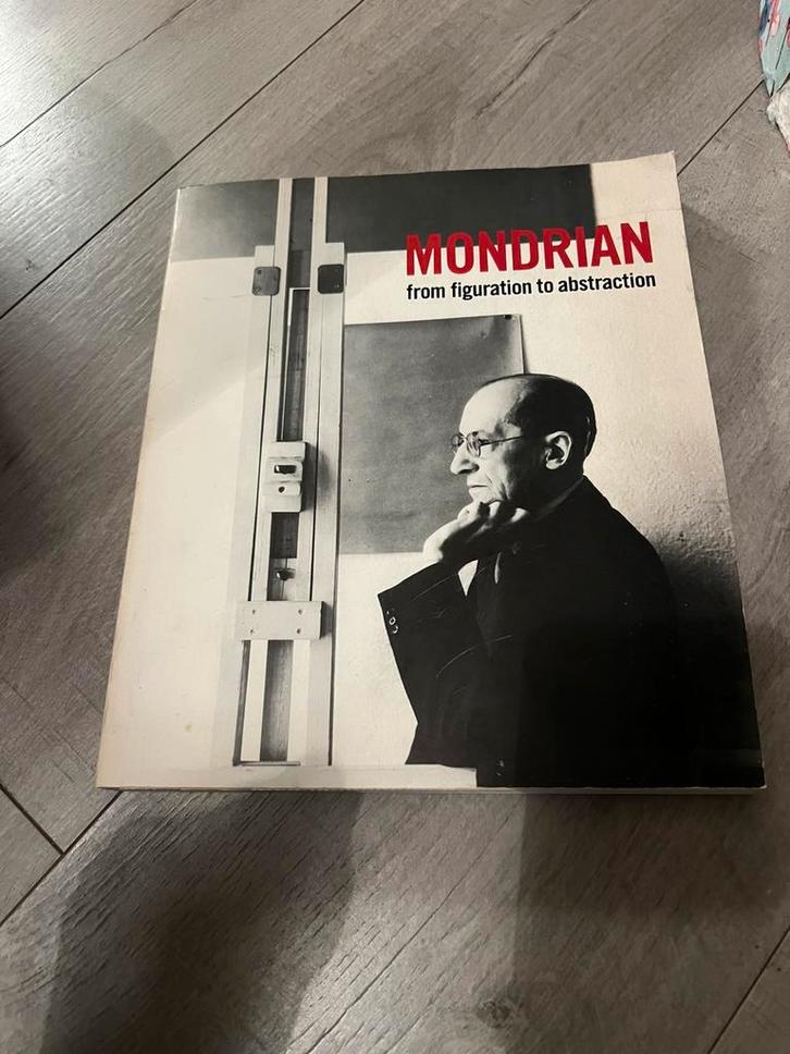 Mondriaan from figuration to abstraction kunst kunstboek, Boeken, Kunst en Cultuur | Beeldend, Gelezen, Ophalen of Verzenden