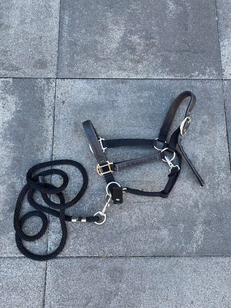 Zwart glitter halster BR, Ophalen of Verzenden, Zo goed als nieuw, Overige soorten