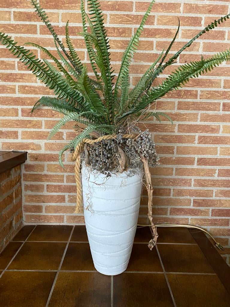 Grote plant, Ophalen, Zo goed als nieuw, Binnen