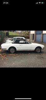 Peugeot 504 cabrio/coupe  voorscherm en een deur gezocht, Ophalen