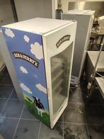 Ben & Jerry's Vriezer - Horeca, Ophalen of Verzenden