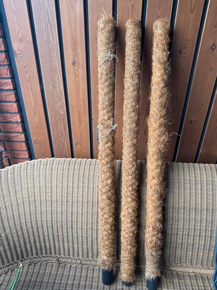 Mosstokken - 3 stuks, Tuin en Terras, Tuinstekers, Nieuw, Ophalen of Verzenden