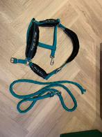 Nieuwe paarden halster met touw, Dieren en Toebehoren, Paarden en Pony's | Hoofdstellen en Tuigage, Ophalen of Verzenden, Nieuw