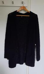 Zwart damesvest maat L, Kleding | Dames, Truien en Vesten, Zwart, Maat 42/44 (L), Ophalen of Verzenden, Zo goed als nieuw